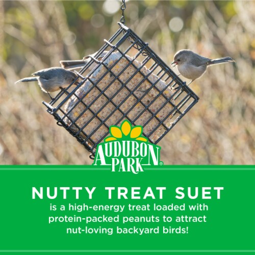 Audubon Park® Nutty Treat Suet Wild Bird Food Perspective: bottom