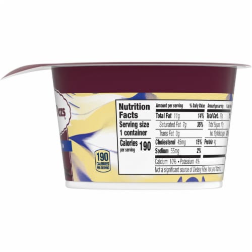 Haagen Dazs Vanilla Bean Cultured Creame Yogurt Perspective: bottom