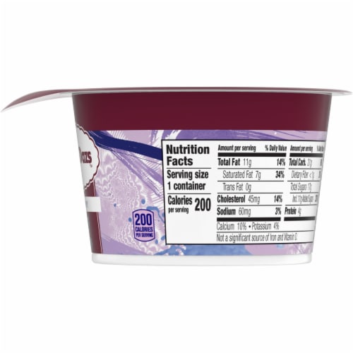 Haagen Dazs Blueberry Cultured Creame Yogurt Perspective: bottom