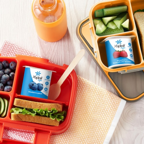 Yoplait Light Fat Free Strawberry and Blueberry Yogurt Pack Perspective: bottom