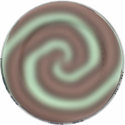 Blue Bunny® Mint Chocolate Twist Ice Cream Pint Perspective: bottom