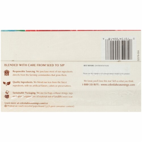Celestial Seasonings Cool Brew Raspberry Iced Black Tea Bags Perspective: bottom