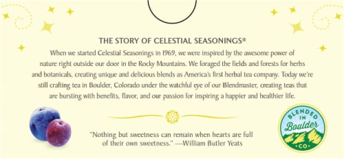 Celestial Seasonings® Sugar Plum Spice Tea Bags 20 Count Perspective: bottom
