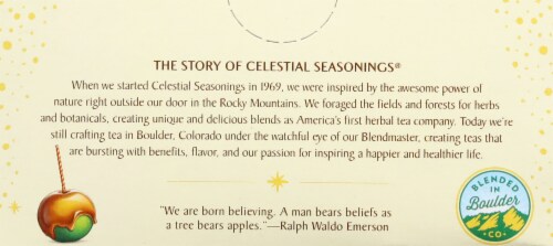 Celestial Seasonings® Caramel Apple Dream® Herbal Tea Bags Perspective: bottom