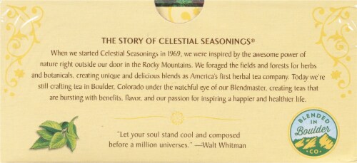 Celestial Seasonings® Caffeine-Free Sleepytime® Mint Herbal Tea Perspective: bottom