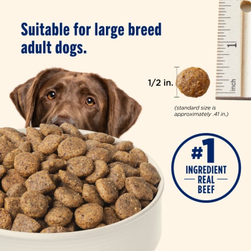Nutrish Large Breed Real Beef, Pea, Carrot & Brown Rice Recipe Dry Dog Food 28 lb. Bag (Rachael Ray) Perspective: bottom