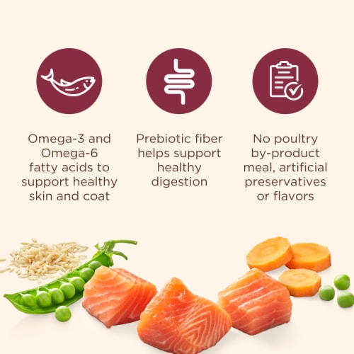 Nutrish Real Salmon, Veggies & Brown Rice Recipe Dry Dog Food, 13 lb. Bag (Rachael Ray) Perspective: bottom