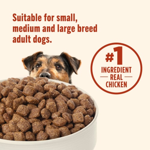 Nutrish Everyday Immune Support Chicken, Salmon, Blueberry & Pumpkin Recipe Dry Dog Food, 13 lb. Bag Perspective: bottom