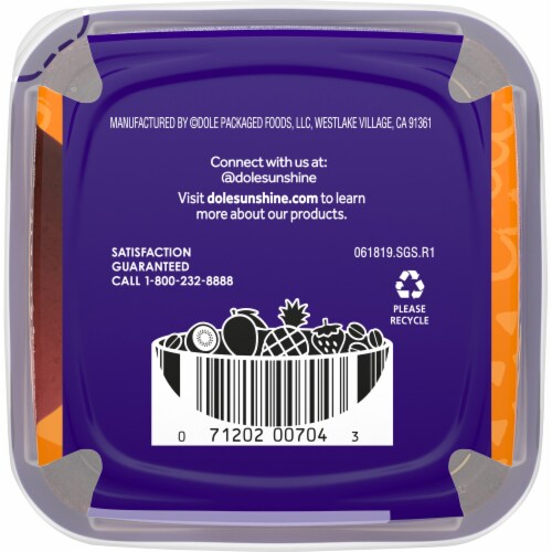 Dole® Acai Bowls Protein Blend Flavor Smoothie Perspective: bottom