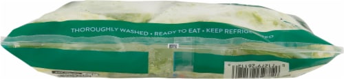 Fresh Express Leafy Green Romaine Salad Perspective: bottom