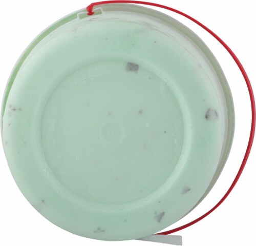 Harris Teeter™ Green Mint Cholocate Chip Ice Cream Perspective: bottom