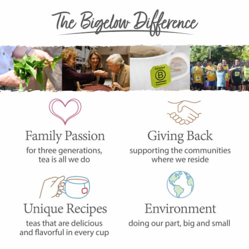 Bigelow Benefits® Calm Stomach Ginger & Peach Caffeine Free Herbal Tea Bags Perspective: bottom