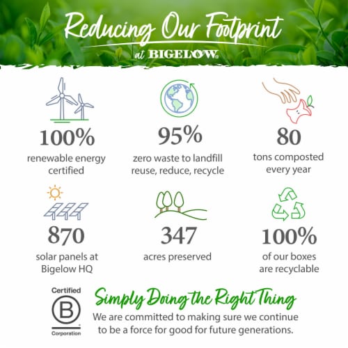 Bigelow Botanicals™ Cold Water Infusion Strawberry Lemon Orange Blossom Herbal Tea Bags Perspective: bottom