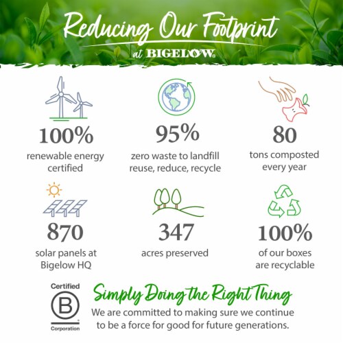Bigelow Botanicals™ Cold Water Infusion Watermelon Cucumber Mint Herbal Tea Bags Perspective: bottom