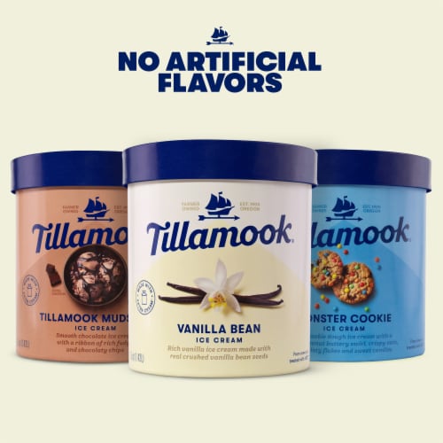 Tillamook Monster Cookie Ice Cream Tub Perspective: bottom