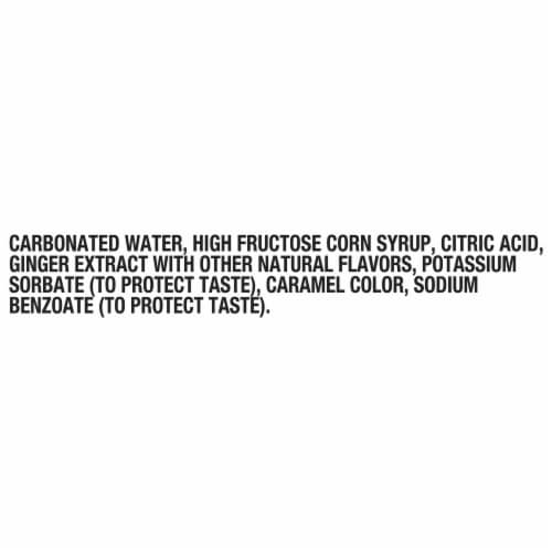 Seagram'S® Ginger Ale Caffeine Free Soda Cans Perspective: bottom