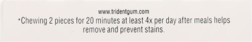 Trident White Peppermint Gum Sugar Free Perspective: bottom