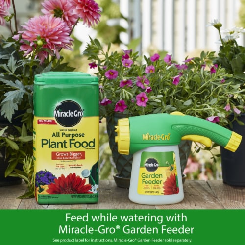 Miracle-Gro® All Purpose Plant Food Perspective: bottom