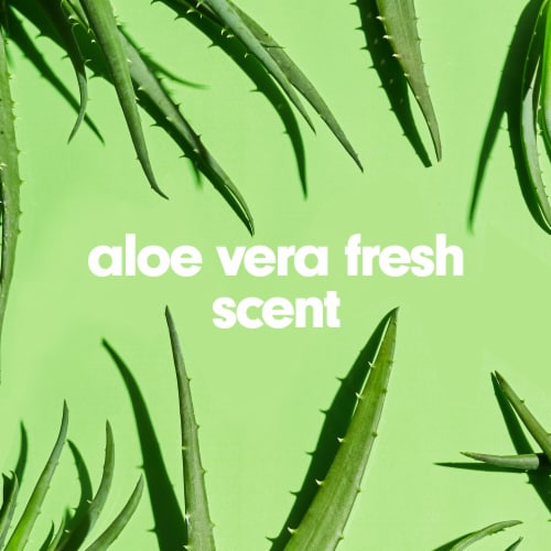 Softsoap Liquid Hand Soap Pump Soothing Aloe Vera Perspective: bottom