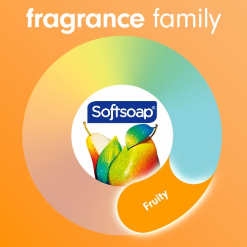 Softsoap Antibacterial Liquid Hand Soap Pump Crisp Clean Perspective: bottom