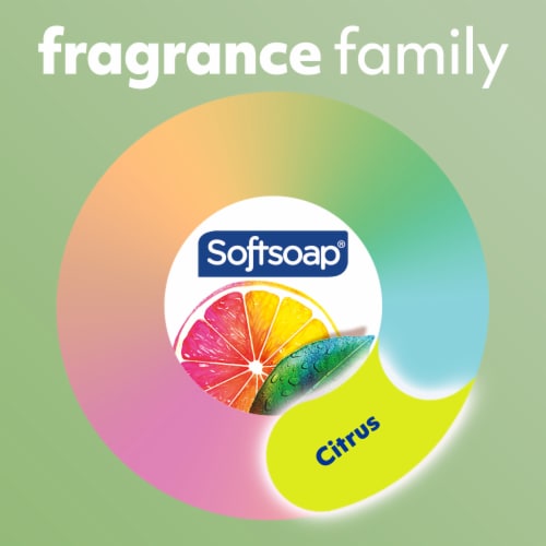 Softsoap Liquid Hand Soap Pump Antibacterial Fresh Citrus Scent Perspective: bottom
