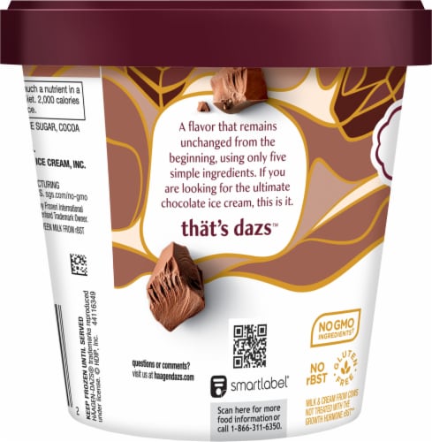 Haagen-Dazs Chocolate Ice Cream Perspective: bottom