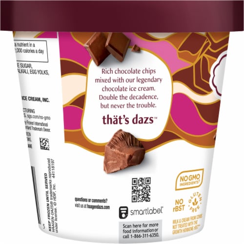 Haagen-Dazs Chocolate Chocolate Chip Ice Cream Perspective: bottom