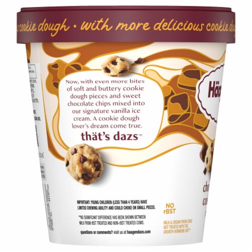 Haagen-Dazs Chocolate Chip Cookie Dough Ice Cream Perspective: bottom