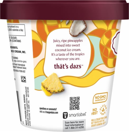Häagen-Dazs Pineapple Coconut Ice Cream Perspective: bottom