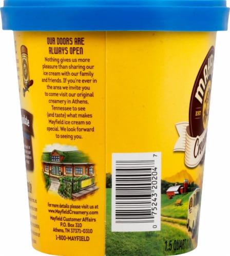 Mayfield Creamery® Lowfat Chocolate Frozen Yogurt Tub Perspective: bottom