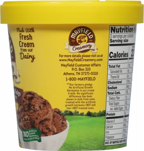 Mayfield Creamery® Smoky Mountain Fudge Ice Cream Pint Perspective: bottom