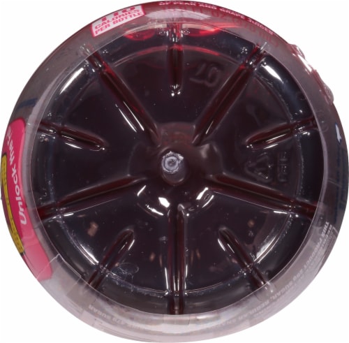 Snapple® Elements™ Fire Dragon Fruit Flavored Juice Perspective: bottom