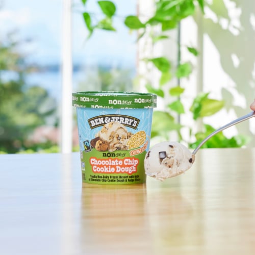Ben & Jerry's Non-Dairy Chocolate Chip Cookie Dough Frozen Dessert Perspective: bottom