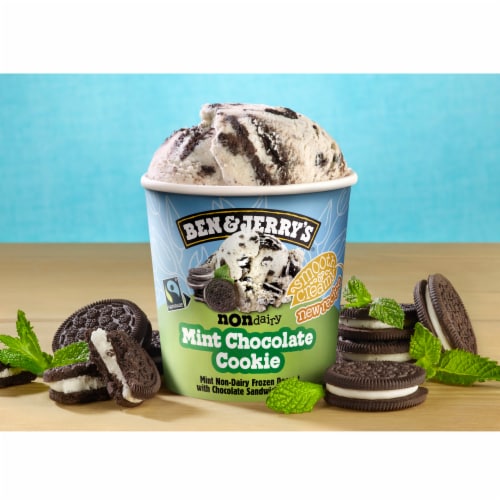 Ben & Jerry's Mint Chocolate Cookie Frozen Non-Dairy Dessert Perspective: bottom