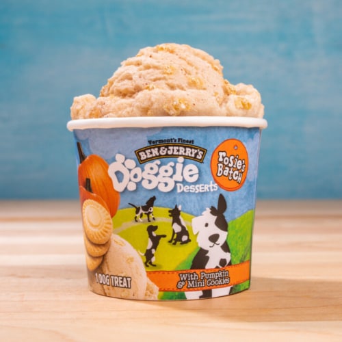 Ben & Jerry's Rosie's Batch Pumpkin & Mini Cookies Frozen Dog Treat Cup Perspective: bottom