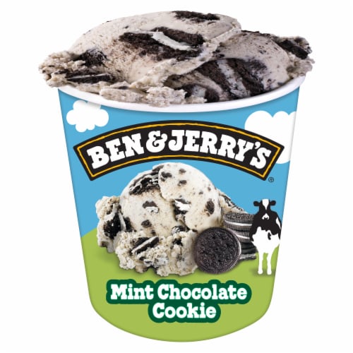 Ben & Jerry's Mint Chocolate Cookie Ice Cream Perspective: bottom