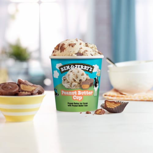 Ben & Jerry's Peanut Butter Ice Cream Perspective: bottom