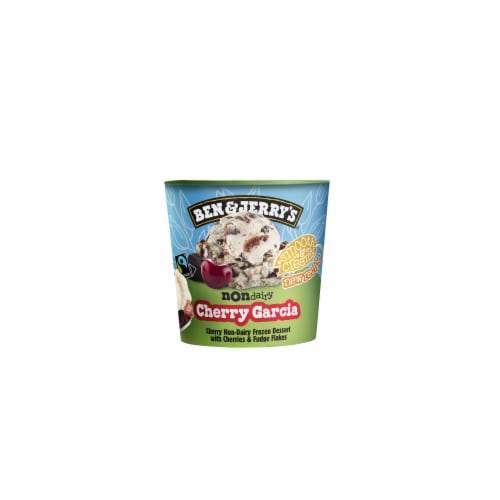 Ben & Jerry's Cherry Garcia Non-Dairy Frozen Dessert Perspective: bottom