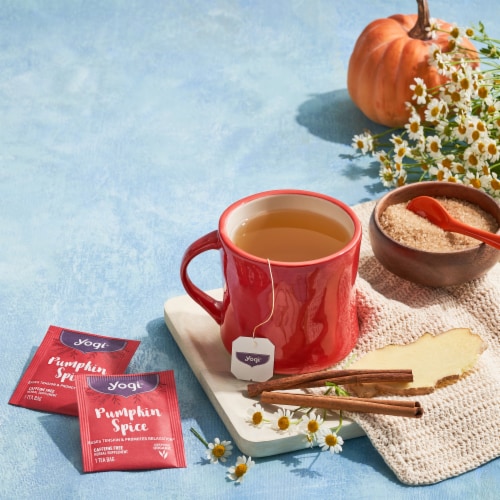 Yogi Pumpkin Spice Organic Herbal Tea Bags Perspective: bottom
