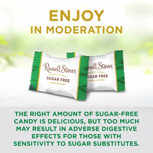 RUSSELL STOVER Sugar Free Pecan Delight Chocolate Candy, 2.4 oz bag Perspective: bottom