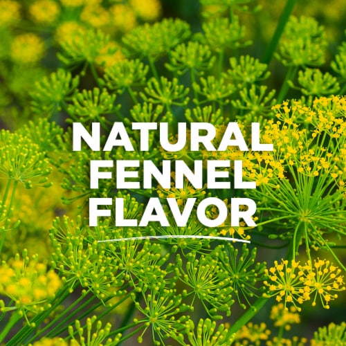 Tom's of Maine Fluoride-Free Propolis & Myrrh Natural Toothpaste Fennel Perspective: bottom