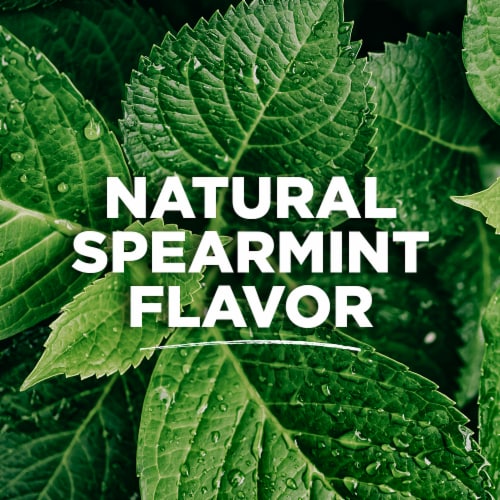 Tom's of Maine Fluoride-Free Antiplaque & Whitening Natural Toothpaste Spearmint Gel Perspective: bottom