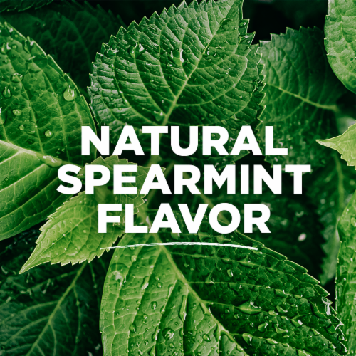 Tom's of Maine Naturally Waxed Antiplaque Flat Dental Floss Spearmint Perspective: bottom