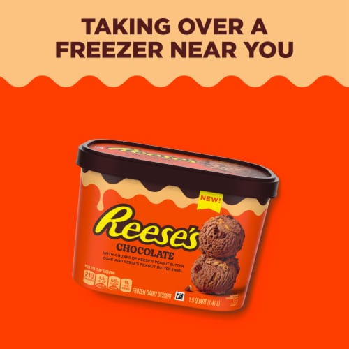 REESE'S with Reese's Peanut Butter Cups and Peanut Butter Swirl Chocolate Frozen Dairy Dessert Perspective: bottom