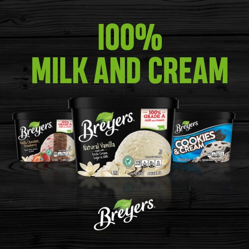 Breyers Chocolate Chip Cookie Dough Frozen Dairy Dessert Perspective: bottom