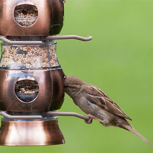 Perky-Pet Woodstream-victor Select-A-Bird Tube Bird Feeder Perspective: bottom
