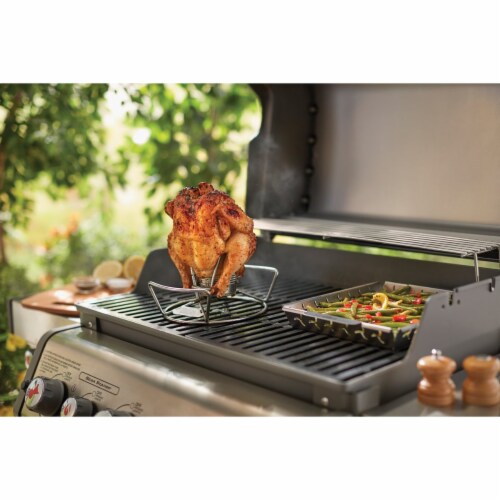 Poultry Roaster Perspective: bottom