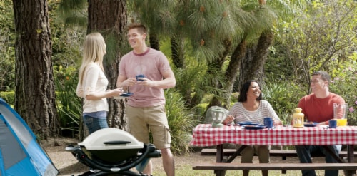 Weber Q 1000 Titanium Portable Gas Grill Perspective: bottom