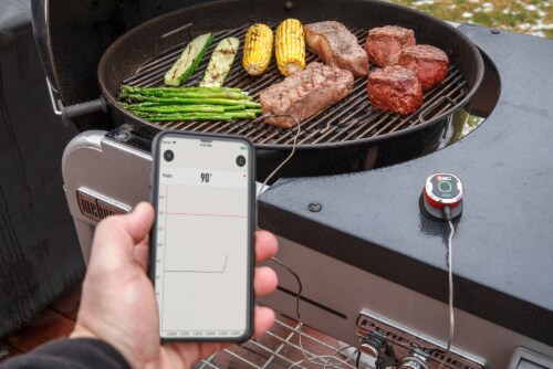 Weber iGrill Mini Grilling Thermometer