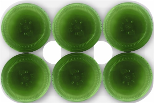 Canada Dry Ginger Ale Soda Perspective: bottom